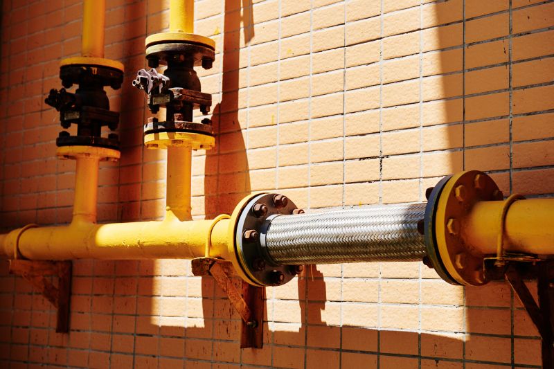 Consultation and Inspection